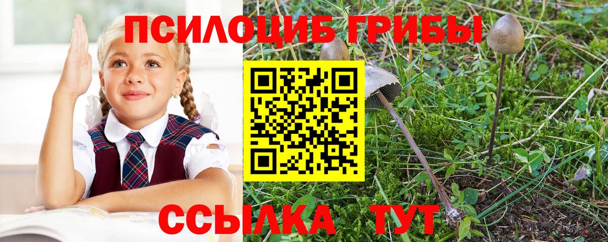 Псилоцибиновые грибы Magic Shrooms Кинель